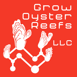 grow oyster reefs