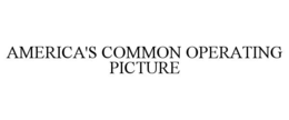 america's common operating picture