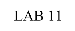lab 11