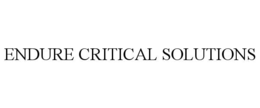 endure critical solutions