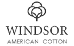 windsor american cotton