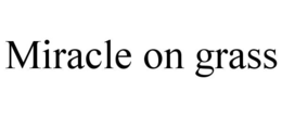 miracle on grass