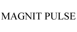 magnit pulse