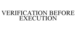 verification before execution