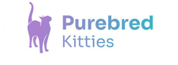 purebred kitties