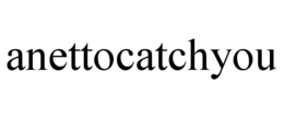 anettocatchyou