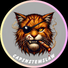 capsnstemslaw
