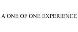 a one of one experience