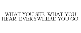 what you see. what you hear. everywhere you go.