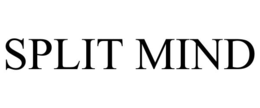 split mind