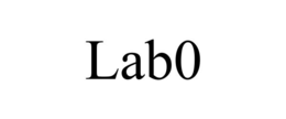 lab0