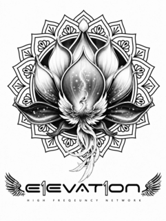 e1evat1on high freqeuncy network