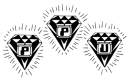 p p u