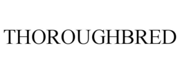 thoroughbred