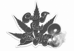 cann i spark the mic?