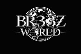 br33z world