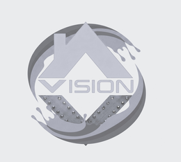 vision