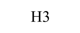 h3