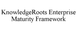 knowledgeroots enterprise maturity framework