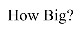 how big?