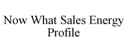 now what sales energy profile