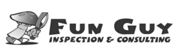 fun guy inspection & consulting