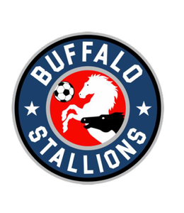 buffalo stallions