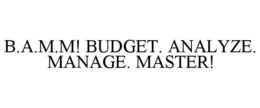 b.a.m.m! budget. analyze. manage. master!