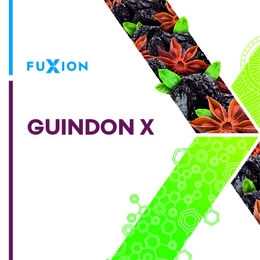 fuxion guindon x