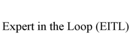 expert in the loop (eitl)