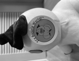it's bacon's world!