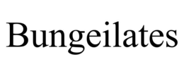 bungeilates