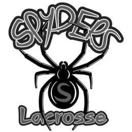 spyders lacrosse