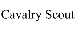 cavalry scout