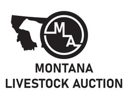 mla montana livestock auction