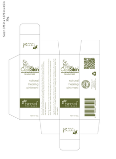 cool skin natural healing ointment for sunburn relief