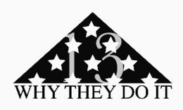 13 why they do it