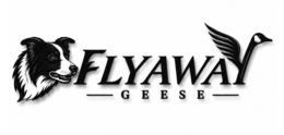 flyaway geese