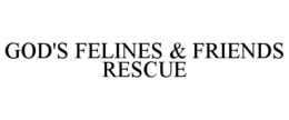 god's felines & friends rescue
