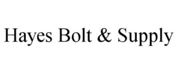 hayes bolt & supply