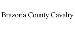 brazoria county cavalry