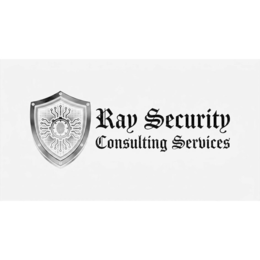 ray security consulting services