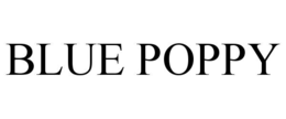 blue poppy