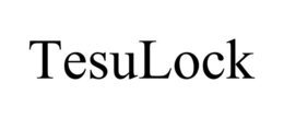 tesulock