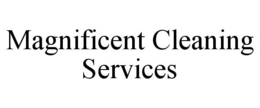 magnificent cleaning services