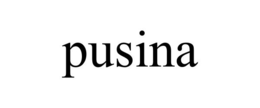 pusina