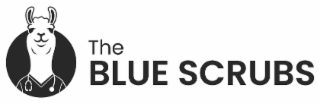 the blue scrubs