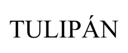 tulipÁn